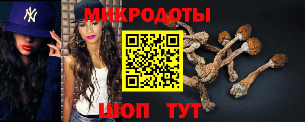 Галлюциногенные грибы Psilocybine cubensis  Вход с VPN  где можно купить   Торжок 